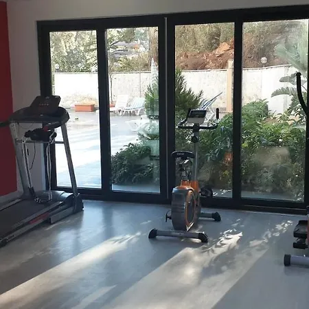 Apartment Stay Forest Park Апартаменты Целиком