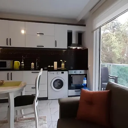 Stay Forest Park Апартаменты Целиком * Avsallar
